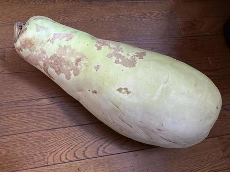 冬瓜 冬瓜,野菜,食材の写真素材