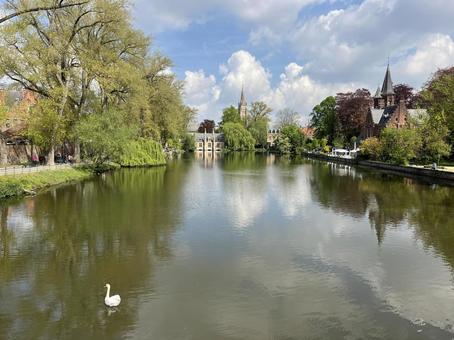 ミンネワーテル公園 ミンネワーテル公園 ブルージュ,公園,湖の写真素材