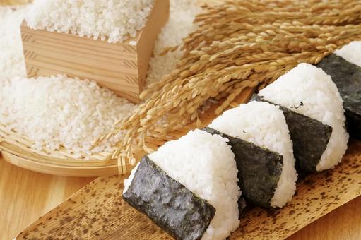 美味しそうなおにぎりとお米 米,白米,新米の写真素材