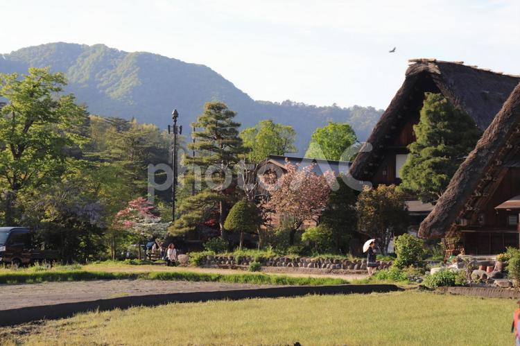 合掌造り白川郷 白川郷,旅行,観光地の写真素材