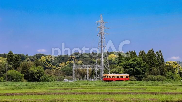初夏の里山を走る小湊鉄道 小湊鉄道,初夏,田んぼの写真素材