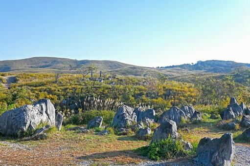 山口・美祢市 カルスト台地「秋吉台」／秋 秋吉台,カルスト台地,秋の写真素材