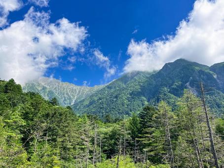 岳沢湿原から見上げた穂高連峰 岳沢湿原から見上げた穂高連峰 上高地,夏,湖の写真素材