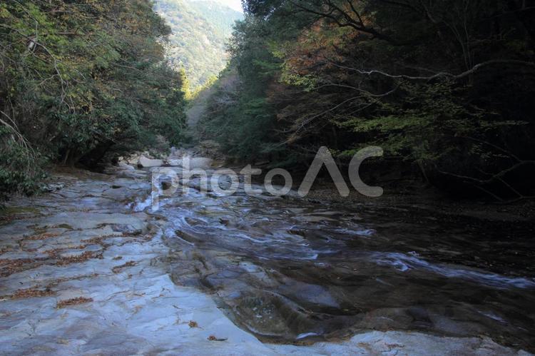愛媛県　滑床渓谷の風景 滑床渓谷,渓谷,滑床の写真素材