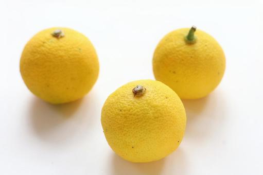 黄色くなったすだちイメージ 黄色くなったすだちイメージの写真