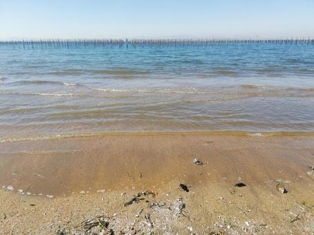 野間海岸 野間海岸 野間海岸,海苔,知多半島の写真素材