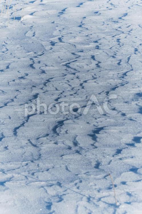霧ヶ峰の美しい冬 霧ヶ峰,信州,長野の写真素材