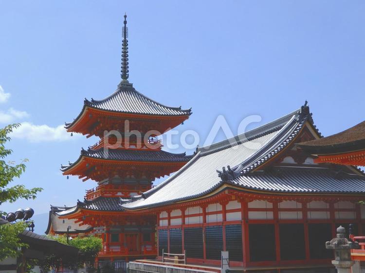 清水寺　三重塔 清水寺,三重塔,世界遺産の写真素材
