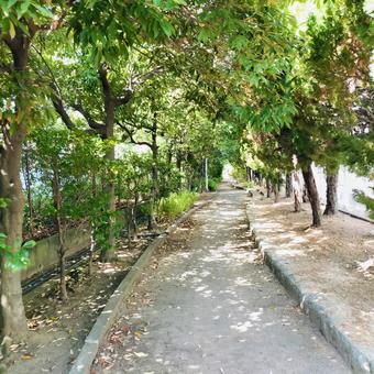 Park Path, JPG Park Path, JPG
