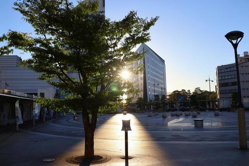 7月下旬の早朝の高松駅前からの朝日 7月下旬の早朝の高松駅前からの朝日 朝日,光,景色の写真素材