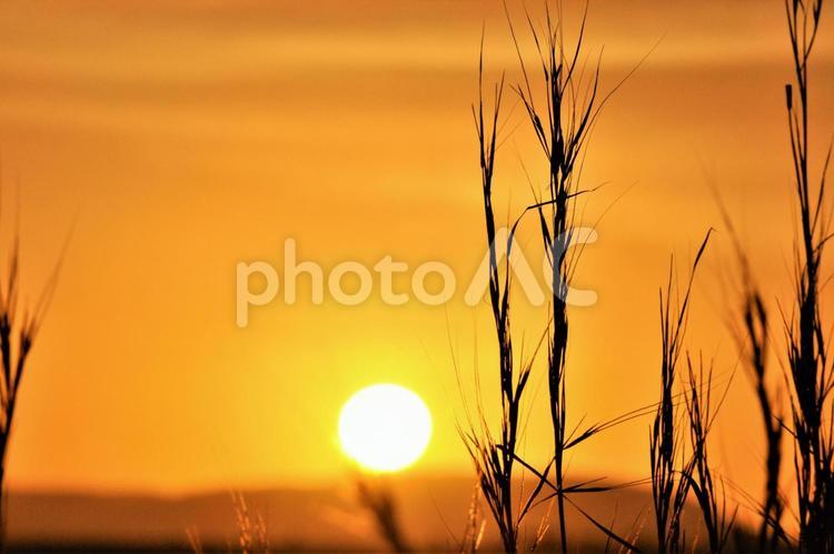 ケニアの夕日 自然,大自然,砂漠の写真素材