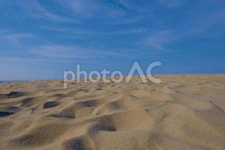 広大な砂丘と蒼天 砂丘,鳥取砂丘,鳥取の写真素材