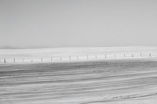雪原に光と影で描かれた抽象的な造形 雪面,雪景色,影の写真素材