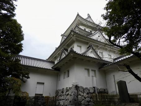 大垣城復元天守を見上げる 大垣城,大垣市,城の写真素材