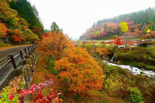 美しい大井平公園の紅葉風景の写真