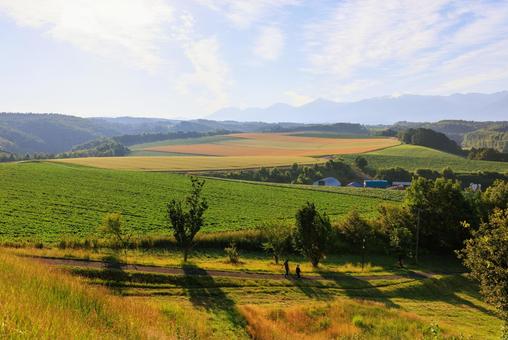 北海道の風景 北海道の風景,畑,農業の写真素材