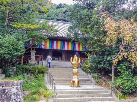 【愛媛県】松山市・石手寺 石手寺,お遍路,寺社仏閣の写真素材