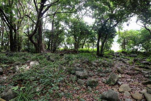 曲崎古墳群 曲崎古墳群 まがり崎古墳群,積石塚,遺構の写真素材