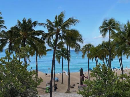 ワイキキビーチとデュークカハナモク像 ハワイ,ワイキキ,ワイキキビーチの写真素材