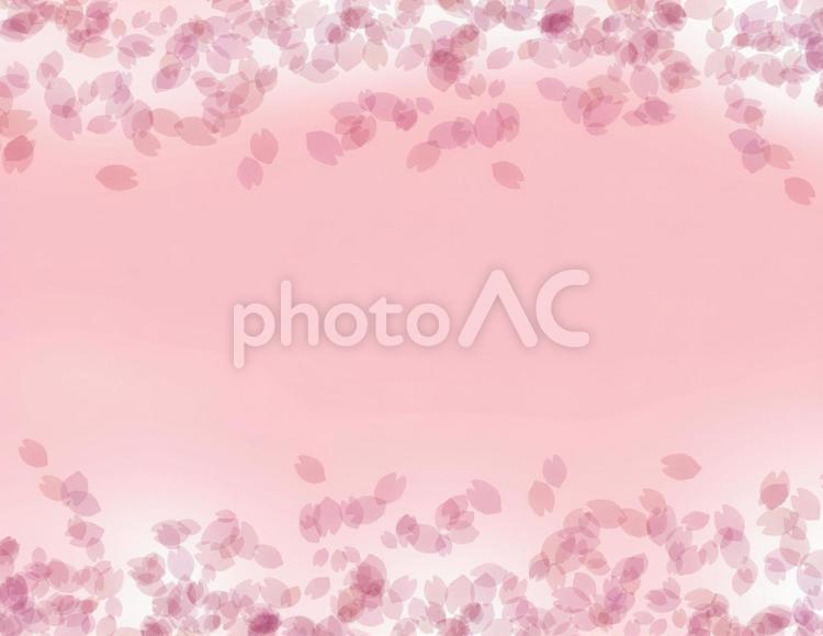 桜　イメージ　背景 桜,春,イメージの写真素材