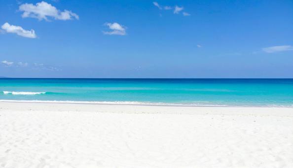 南国の美しいビーチの写真