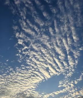 夏の夕暮れ 夏の夕暮れの写真