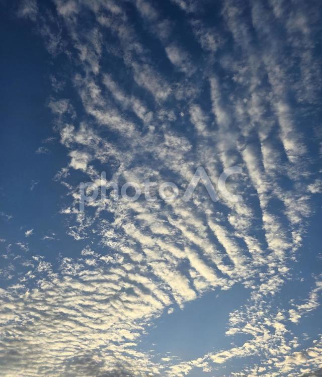 夏の夕暮れ ひつじ雲,高積雲,巻積雲の写真素材