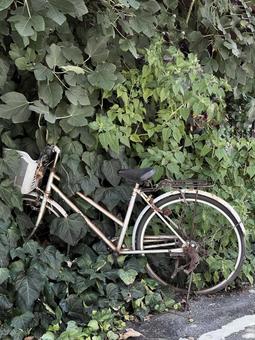 朽ちていく 朽ちていく 自転車,廃墟,緑の写真素材