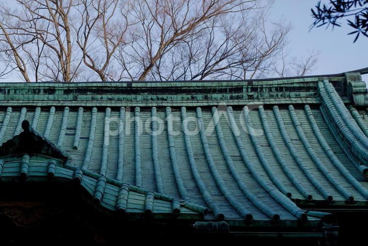 東京赤坂にある氷川神社の美しい屋根 伝統的な,境内,屋根の写真素材