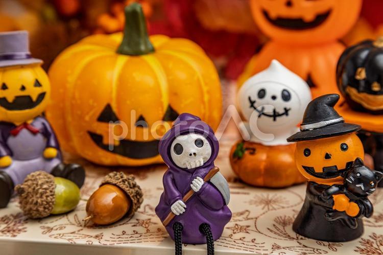 ハロウィーン｜骸骨お化けと仲間たち ハロウィン,ゴースト,骸骨の写真素材