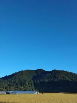 秋晴れ 田園風景朝,朝,散歩の写真素材