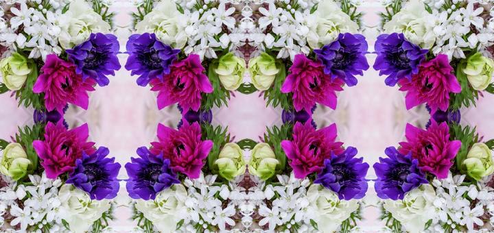 主に3色の花柄イメージ素材 主に3色の花柄イメージ素材 花,白,アリウムの写真素材