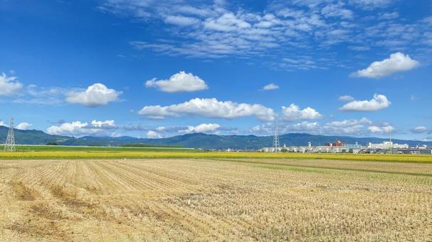 稲刈りが終わった秋晴れの佐賀平野 佐賀平野,田んぼ,稲刈りの写真素材