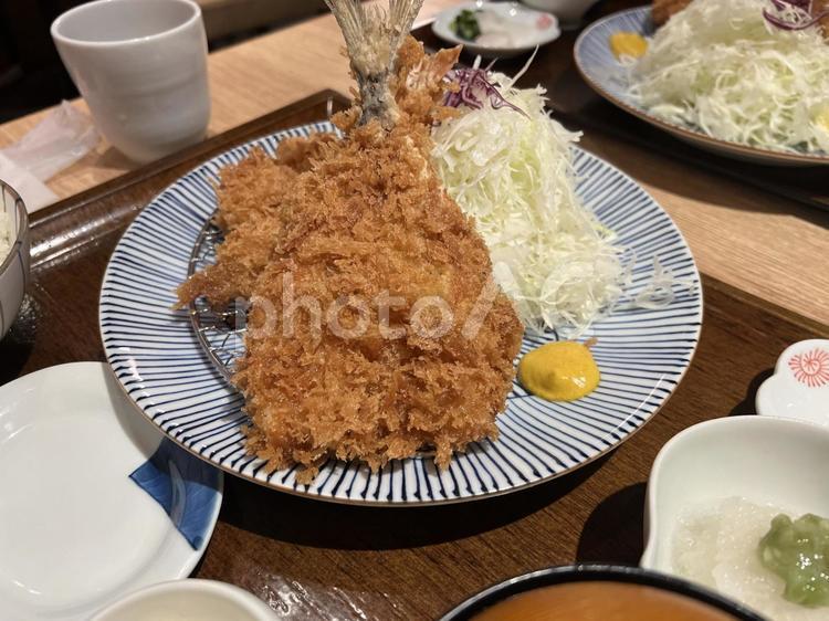 美味しそうなミックスフライの盛り合わせ ミックスフライ,アジフライ,ヒレカツの写真素材