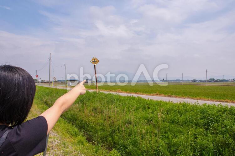少女が何かを発見！？ みどり,人差し指,四季の写真素材