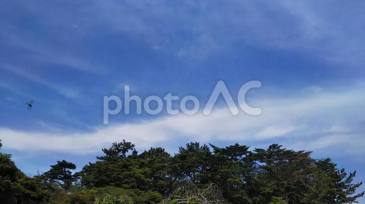 龍雲 龍雲,青空,空の写真素材