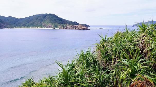 慶良間諸島嘉比島から見た海の風景 慶良間諸島嘉比島から見た海の風景 嘉比島,座間味島,慶良間諸島の写真素材