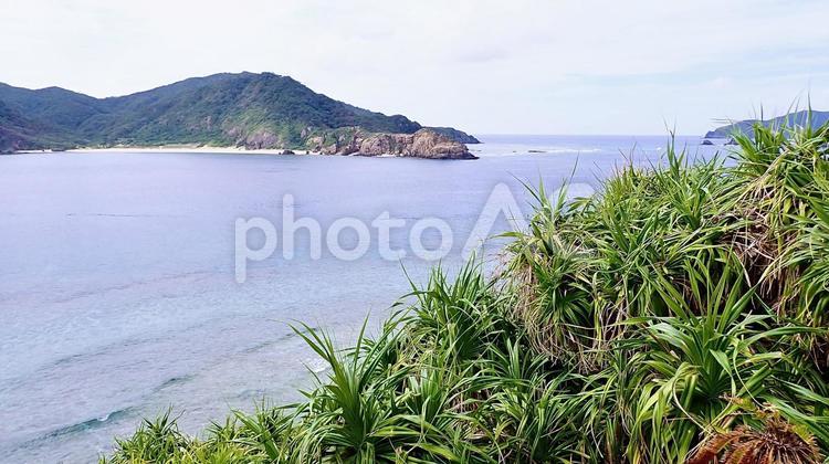 慶良間諸島嘉比島から見た海の風景 嘉比島,座間味島,慶良間諸島の写真素材