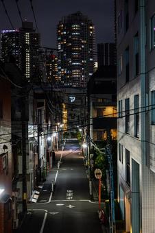 門前仲町　夜景 門前仲町,夜,東京の写真素材