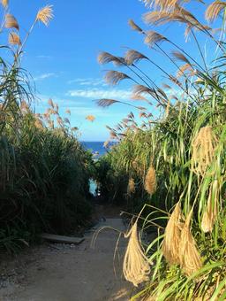 秋の沖縄の写真