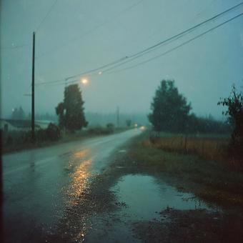 雨の日の田園風景とアスファルト 雨の日の田園風景とアスファルトの写真