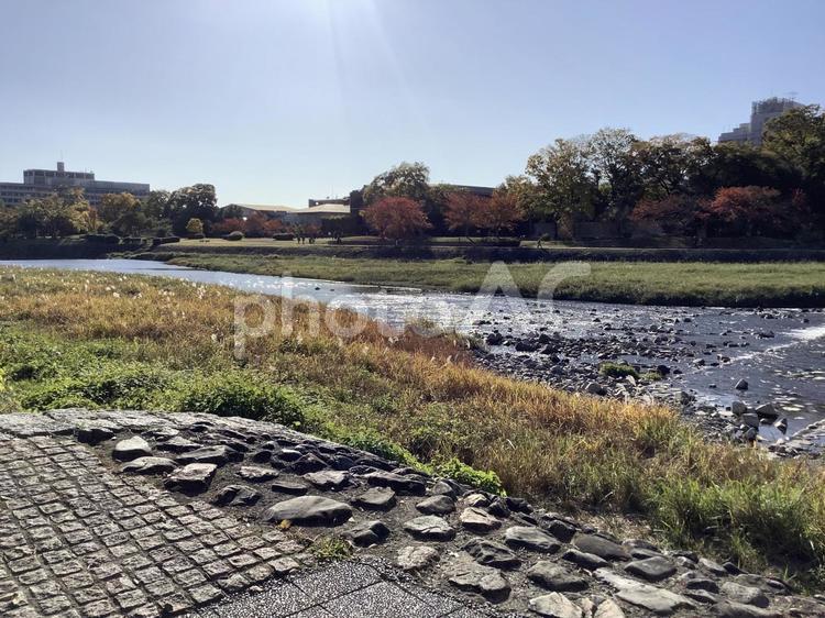 鴨川の上流 秋,風景,河川敷の写真素材