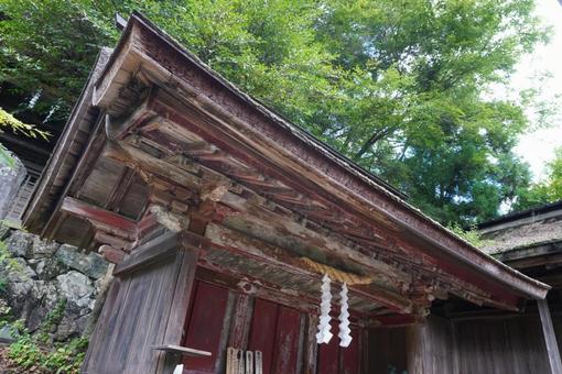 木造の古い建物と緑の風景 木造の古い建物と緑の風景の写真