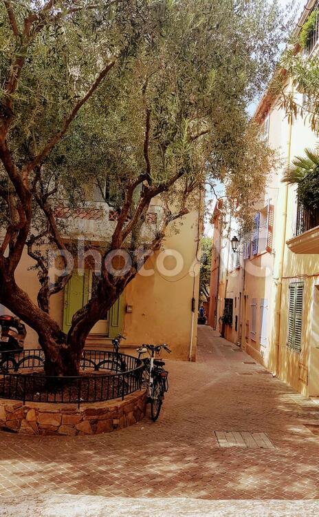 南仏の路地 南仏,コ－トダジュ－ル,リゾ－トの写真素材