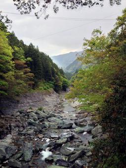 祖谷川の風景 祖谷川の風景の写真