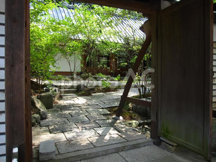 木漏れ日と日本家屋 草,木漏れ日,日本家屋の写真素材