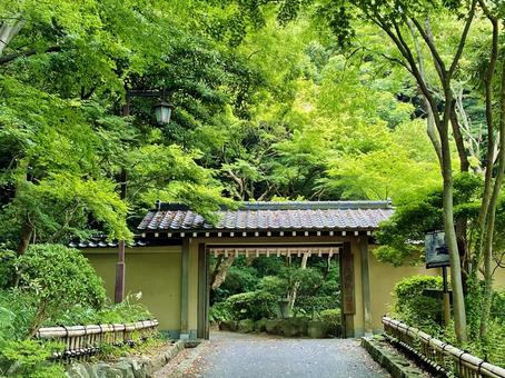 大磯城山公園南門 大磯城山公園南門の写真