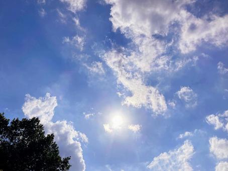 夏空 夏空の写真