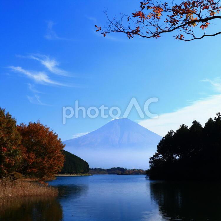 富士山と田貫湖の風景 富士山,田貫湖,風景の写真素材