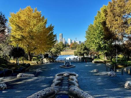 秋の山下公園 水の階段 秋の山下公園 水の階段 山下公園,横浜,秋の写真素材